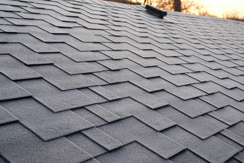 Best Roofing Materials For Multi-Family Properties